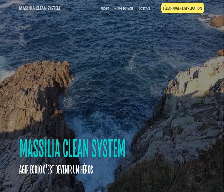 Project Web Design